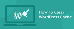 How to clear WordPress Cache
