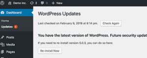 Updated WordPress Update